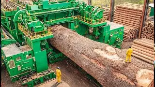 Inside the Largest Wood Sawmill Factory - How Plywood Is Made From Logs to Table (Full Process)