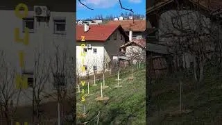 13. ožujka 2025.
