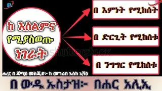 እስልምናን የሚያበላሹ ነገራት በ ኡስታዝ በሐር አሊ // Eslmenan yemiyabelashu negerat Ustaz Bahar Ali