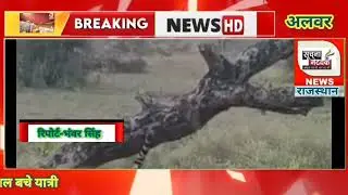 Tourists thrilled by tiger sighting