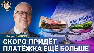Липсиц: Два поколения россиян будет расхлёбывать беду с госдолгом!