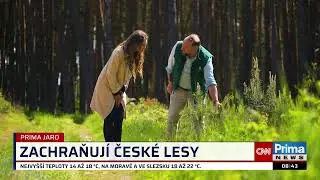 Wood Seeds Prima rok | Každý zasazený strom má smysl. Wood Seeds obnovuje české lesy