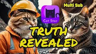Catstar Mining: Real or Fake | J_COIN