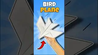 How to Make a Paper Bird That Can Fly | Paper Plane 🤩#shorts