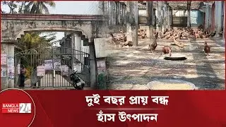 নানা সংকটে স্থবির ভোলার আঞ্চলিক হাঁস প্রজনন খামার | Duck breeding farm in Bhola