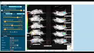 How to Perform ROI Analysis - Aura 4.0 Tutorial