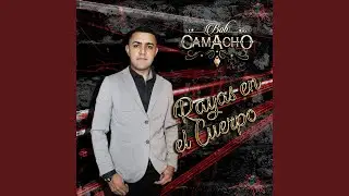Rayas En El Cuerpo