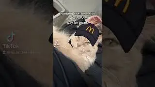 The cutest employee at McDonald&rsquo;s @McDonaldsCanada I&rsquo;ve ever sent
