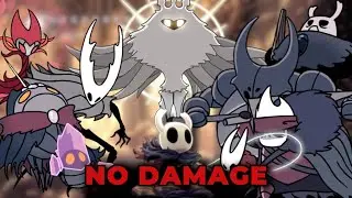 Hollow Knight: All bosses NO DAMAGE