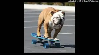 mid new wave type beat
