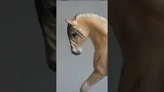 Compilation de customs 💫 #custom #horse #modelhorse #schleich #schleichhorse #art