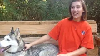 Find an escape for you and your dog at Kiesel Park in Auburn