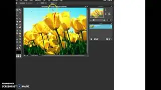 Converting Images to Black and White Using Pixlr