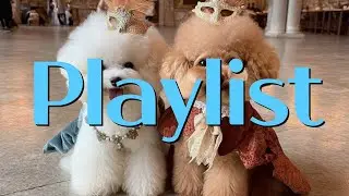 Feel-Good Pop Songs with Lyrics | Morning Drive 2 Hours기분 좋게 하루를 시작하는 팝송 가사 플레이리스트