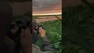 17hmr