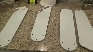 Moldy Hampton Bay Grayon 2 Blades | Can I Save Them?