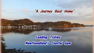 Leading Tickles NL...A Journey Back Home