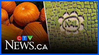 It&rsquo;s all about pumpkins at Strom&rsquo;s Farm and Bakery