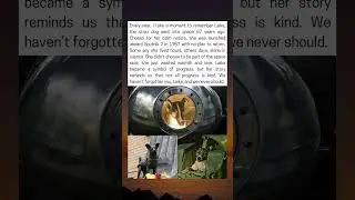 Justice For Laika!🐕❤️ #animals #animalmemes #dog #dogs #dogmemes #space #laika #astronomy