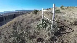GoProBlooper