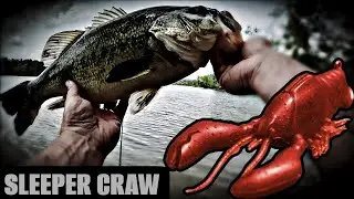 The New Megabass Sleeper Craw Catches Bass