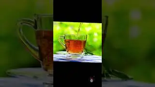 I love  чай! Эдит 