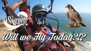 Will we Fly today?!? Let's meet some falcons! - Soaring Spirits Episode 1