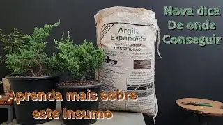Como fazer substrato com Argila Expandida