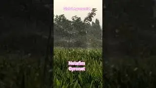 Netafim Gyronet | Mini Sprinkler | #modernfarmer #indianfarmer #motivation #agriculture #netafim