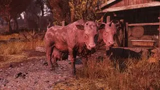 Why Fallout 76 Isn't Canon