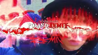 YOUNG MULTI -  🇵🇱 POLAND REMIX 🇵🇱 ALE TO PIERDOL*IĘCIE 🏃&zwj;♀️&zwj;➡️😆😎