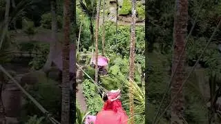 Ubud BALI SWING ❤️ Tegallalang! 👍 #adventure #baliswing #shorts