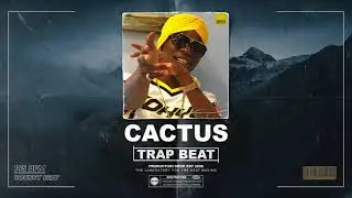🔥 Cactus | Soldier Kidd x Glokknine x SpotemGottem Type Beat | 2756