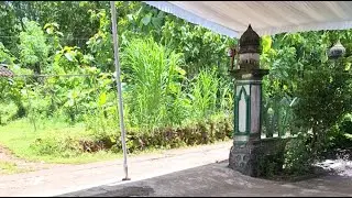 Live ❗Suasana kampung, ngalang, gedangsari,GK, YK