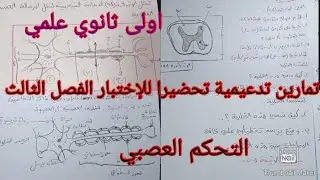 تمارين تدعيمية تحضيرا للإختبار الفصل الثالث في العلوم الطبيعية حول التحكم العصبي اولى ثانوي علمي