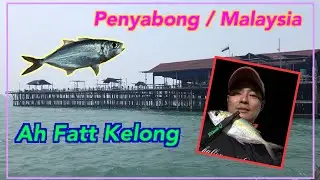 DQ Ajing at Ah Fatt kelong/Penyabong Malaysia