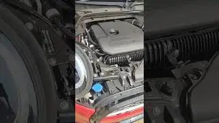 How to find Chassis and Engine number in MINI COOPER - S