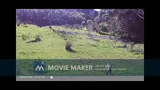 Trailcam test at the back of Barry's place Nov25