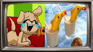 TALKING BELLA CHOOSES WHAT TO DRINK (meme)