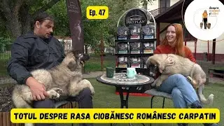 Despre oameni și câini Podcast #47. Rasa CIOBĂNESC ROMÂNESC CARPATIN cu Dan-Cosmin Sîrbu, crescător