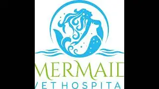 Inside Mermaid Vet: Sam on Her Role and What Pet Owners Miss