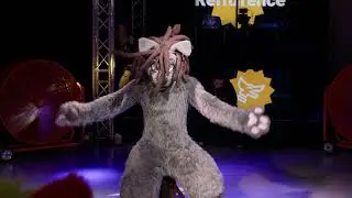 RFR Paws Off the Floor - Dance Competition - Joolz