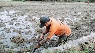 Mantan karyawan bank Resign & Belajar jadi petani