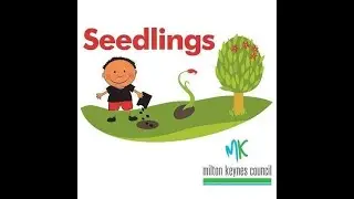 A bit more about: Seedlings Children Centre