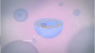 🔥 Descubre el Secreto que Puede Transformar tu Salud 🔥 - Luis Allemant