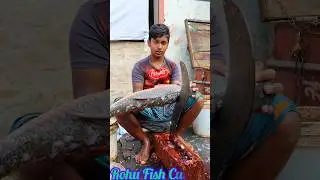 Amazing Cutting Skills | Giant Rohu Fish Cutting Skills By Expert Fish Cutter #asmr #streetfood