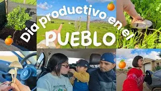 Probando la GoPro🎥 || vlogcito productivo ✨🍊🍃