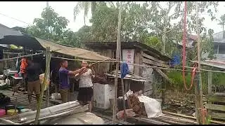 Maya Sis Enggau Urang Bedara Ke Senapang,Asuh Urang Nimbak....#sgmupong
