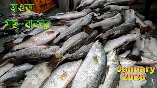 হাওড়া পাইকারি মাছ বাজার ২০২৬ | জানুয়ারির শেষে মাছের দাম | Fish Business শুরু করবেন যেভাবে #fish