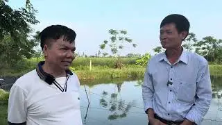 Hữu đại cá chình giống đt: 0978185520.